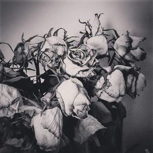 Meet your Posher, Maricela